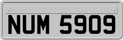 NUM5909