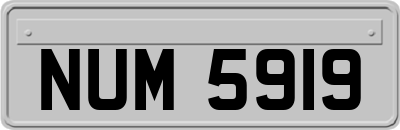 NUM5919