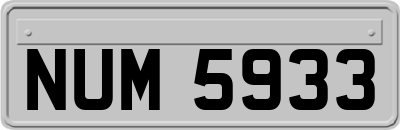 NUM5933