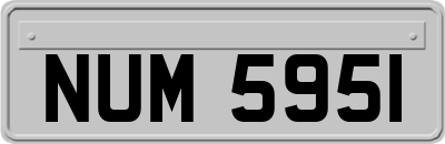 NUM5951