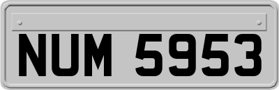 NUM5953