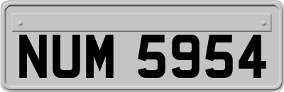 NUM5954