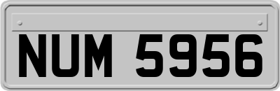 NUM5956