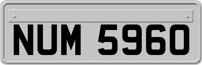 NUM5960