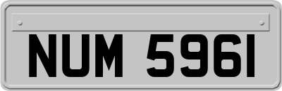 NUM5961