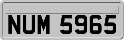 NUM5965
