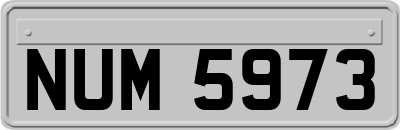 NUM5973