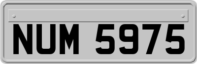 NUM5975
