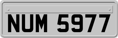 NUM5977