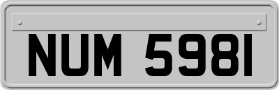 NUM5981
