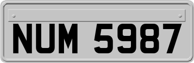 NUM5987