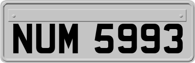 NUM5993