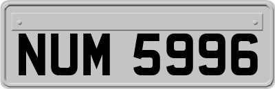 NUM5996