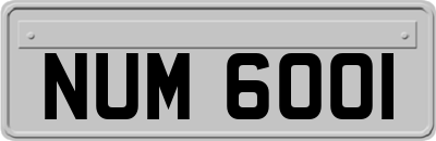 NUM6001