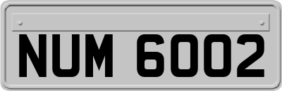 NUM6002