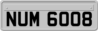 NUM6008