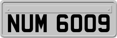 NUM6009