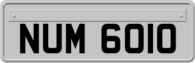NUM6010