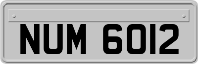 NUM6012