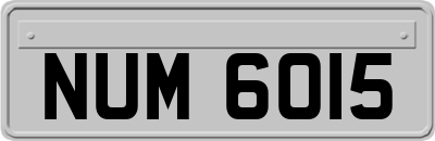 NUM6015