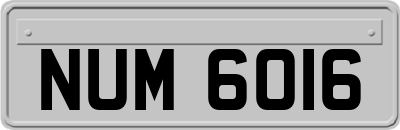 NUM6016