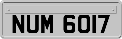 NUM6017