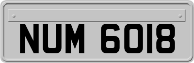 NUM6018
