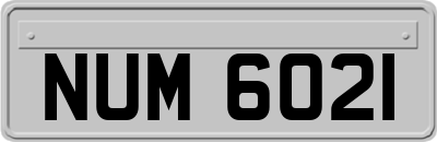 NUM6021