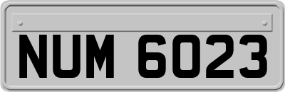 NUM6023