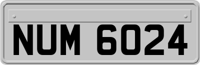 NUM6024