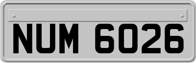 NUM6026