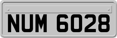 NUM6028
