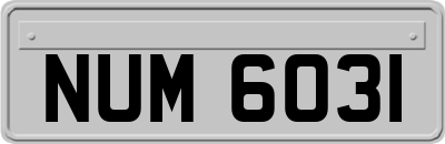 NUM6031