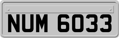 NUM6033