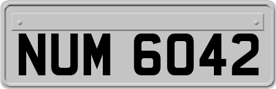 NUM6042