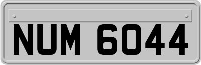 NUM6044