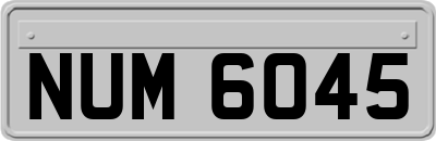 NUM6045