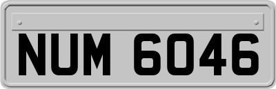 NUM6046