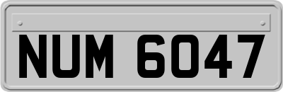NUM6047