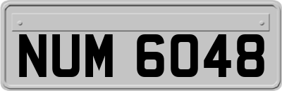NUM6048