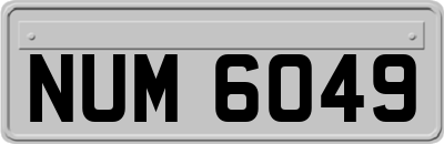 NUM6049