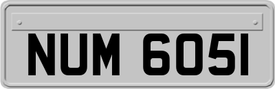 NUM6051