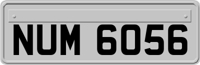 NUM6056