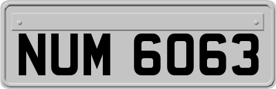NUM6063