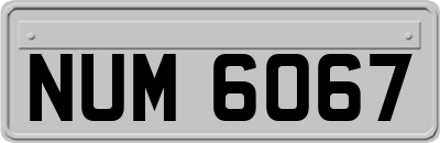 NUM6067