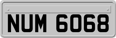 NUM6068
