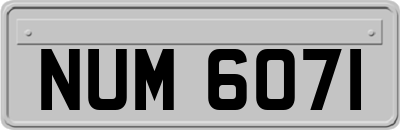 NUM6071