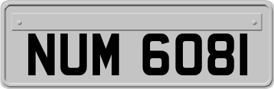 NUM6081
