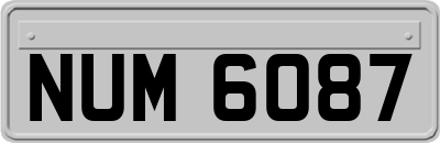 NUM6087
