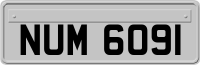 NUM6091